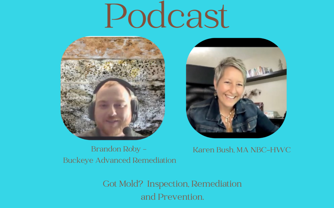 Got Mold?  Prevention, Inspection and Remediation of home mold with Brandon Roby