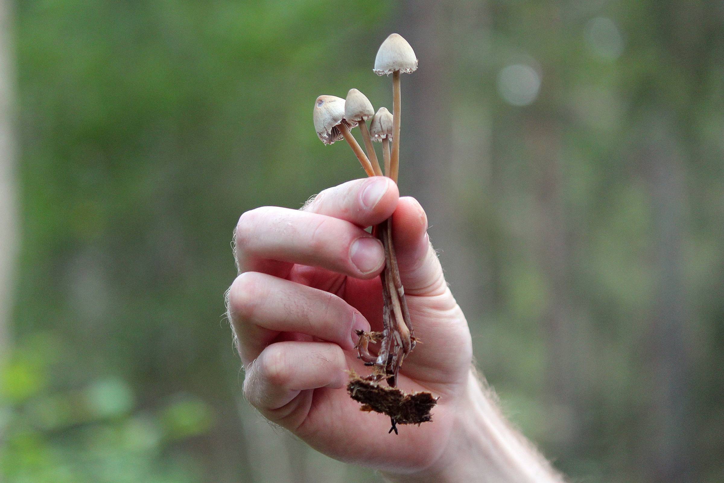 At the intersection of science and something ancient…